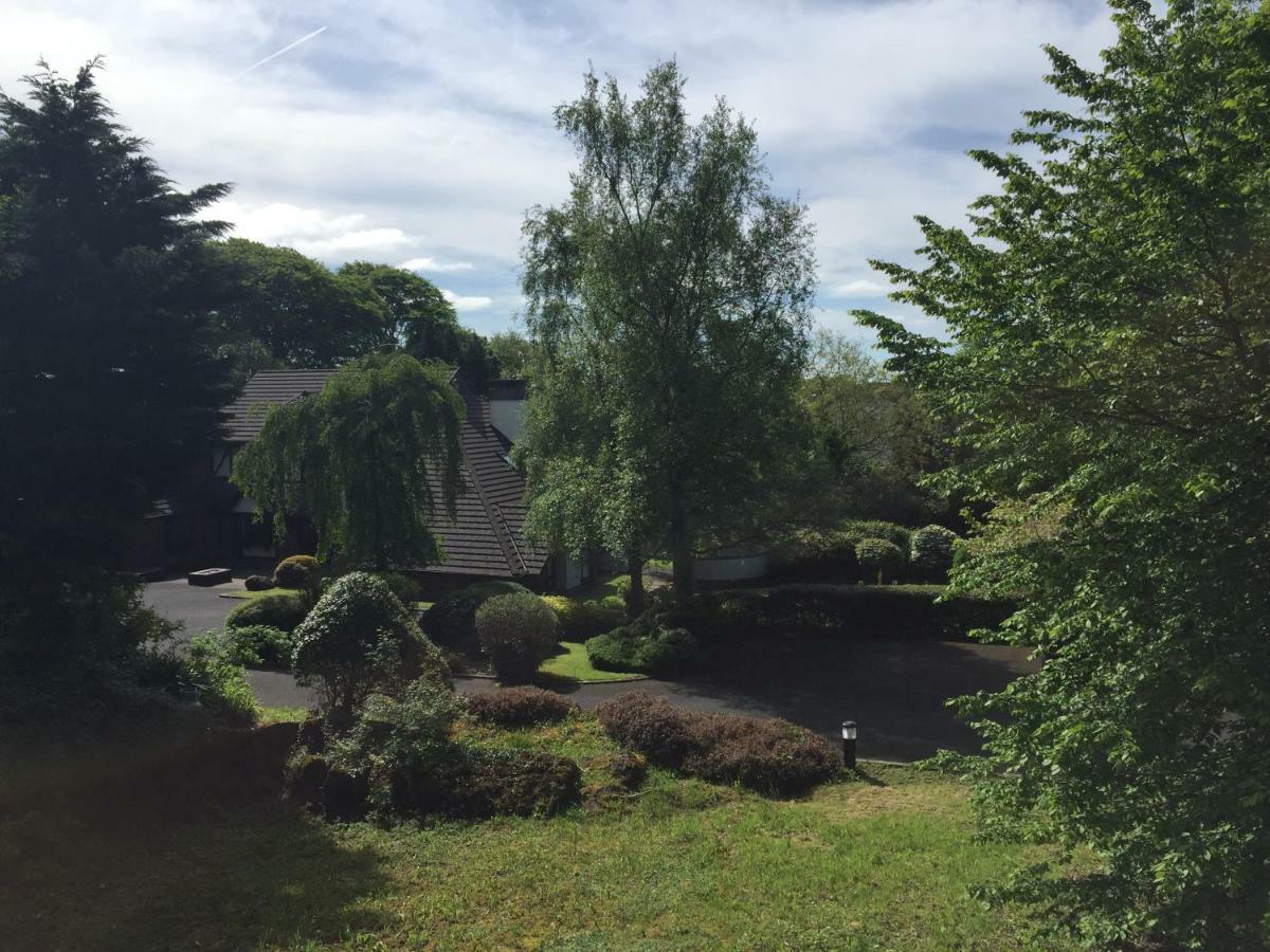 Tudor Lodge Guest Accommodation Bunratty Esterno foto