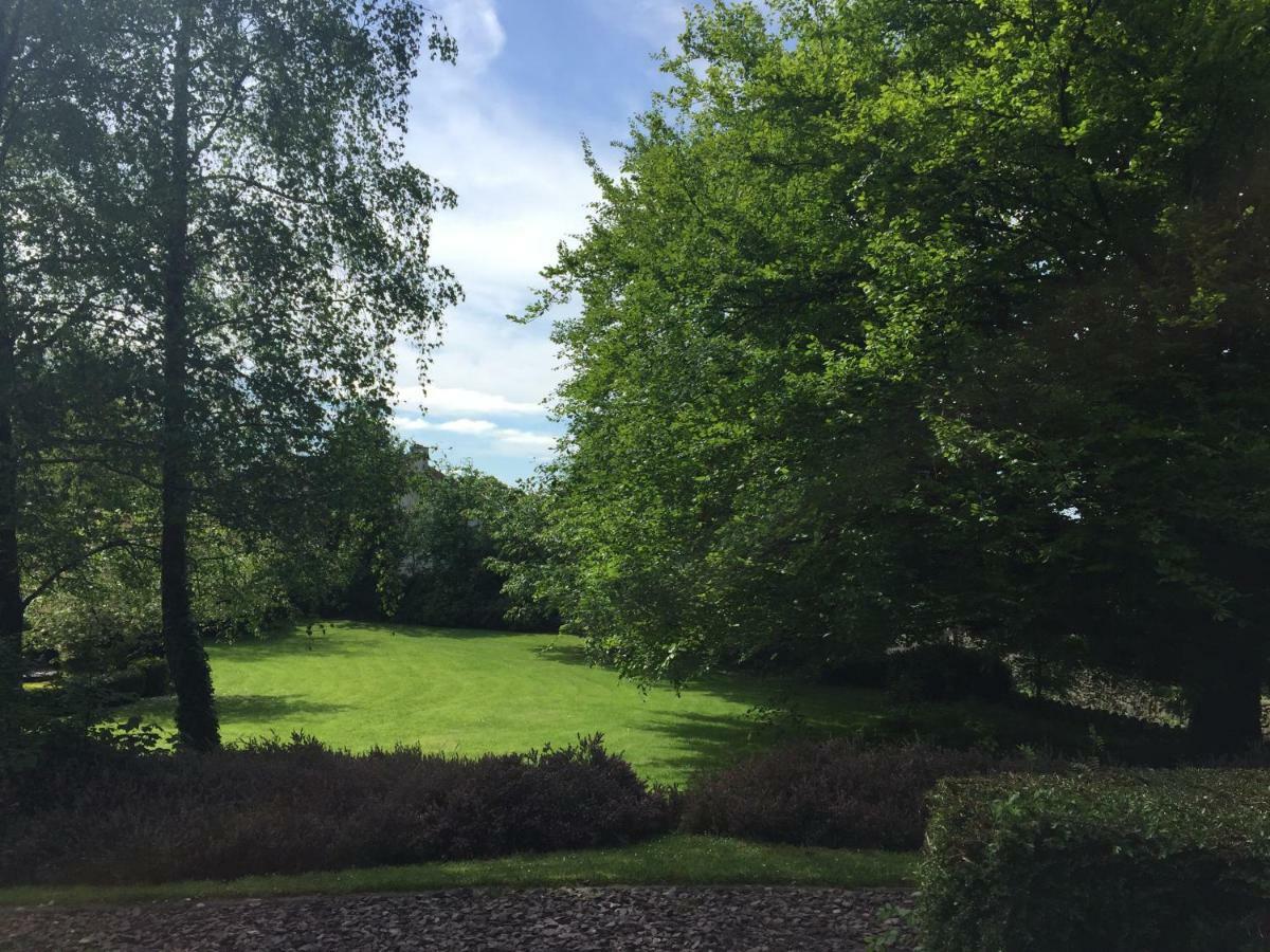 Tudor Lodge Guest Accommodation Bunratty Esterno foto